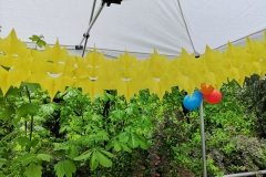 2. Geburtstag 2019