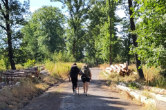 Abenteuer-Wanderung-2