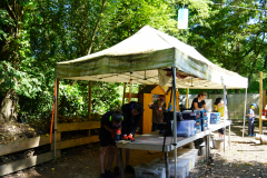 DSC09990