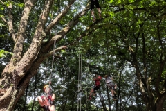 Holzhackerfest-2018-33
