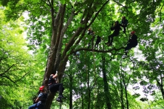 Holzhackerfest-2019