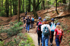 Wanderung-2021-6