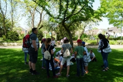 StaRa Stadtchecker 2019