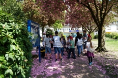 StaRa Stadtchecker 2019