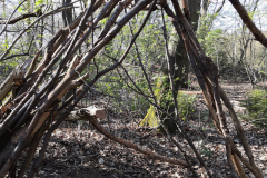 Waldtreff-05-21-2