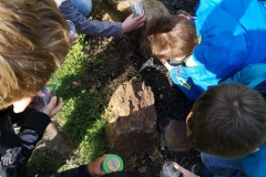 Workshop Insektenhotel 2019