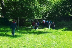 Workshop Insektenhotel 2019