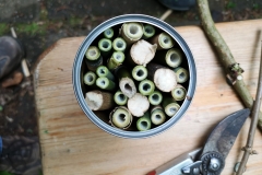 Workshop Insektenhotel 2019