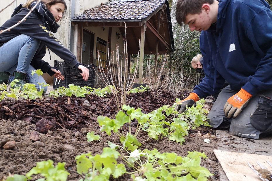 Zwei junge Menschen pflanzen Pflanzen in ein Beet.